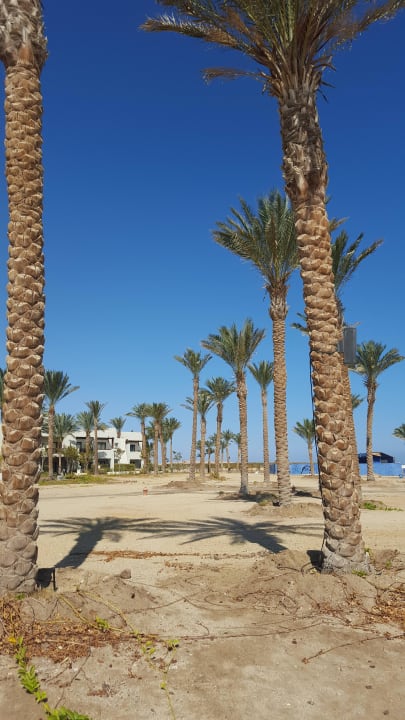 Strand  Pickalbatros Sands Hotel - Port Ghalib