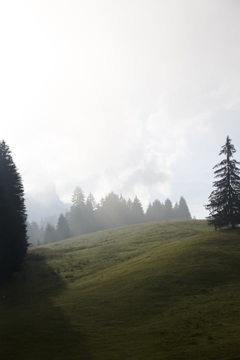 Ausblick Hotel Sonnenhof