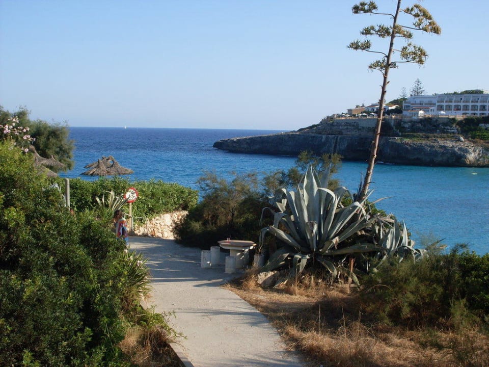 Blick auf die Bucht Hotel Club Cala Romani