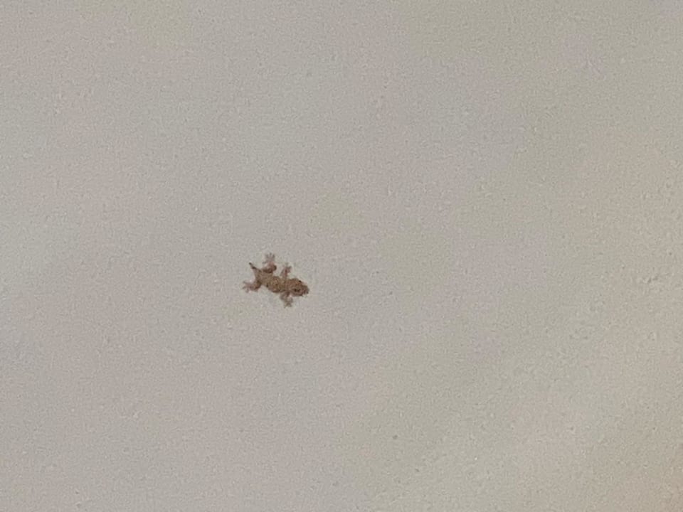 Zimmer Zita Beach Resort