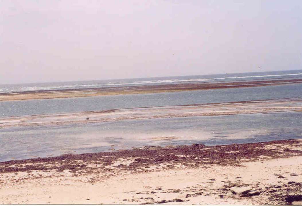 Traumstrand bei Flut Kaskazi Beach Resort