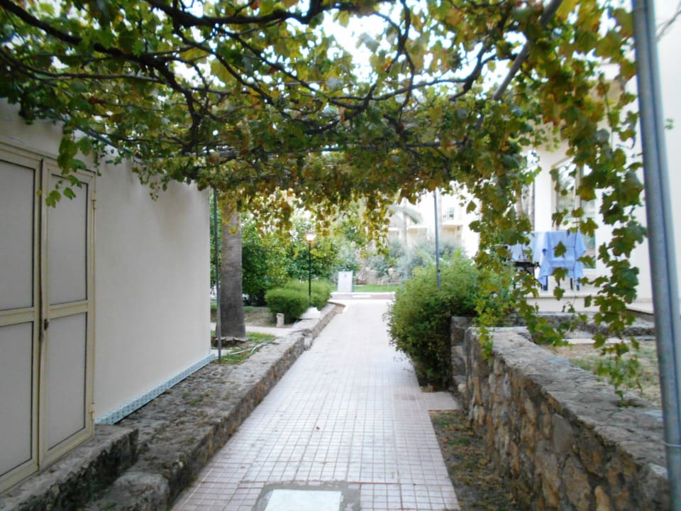 Gartenanlage Oscar Resort Hotel