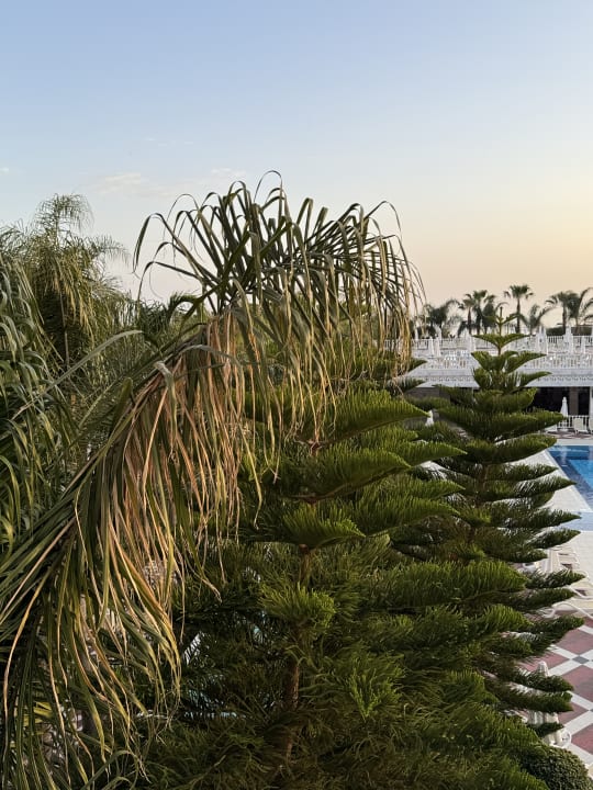 Ausblick Royal Taj Mahal Hotel