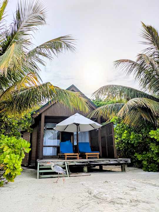 Außenansicht Meeru Maldives Resort Island