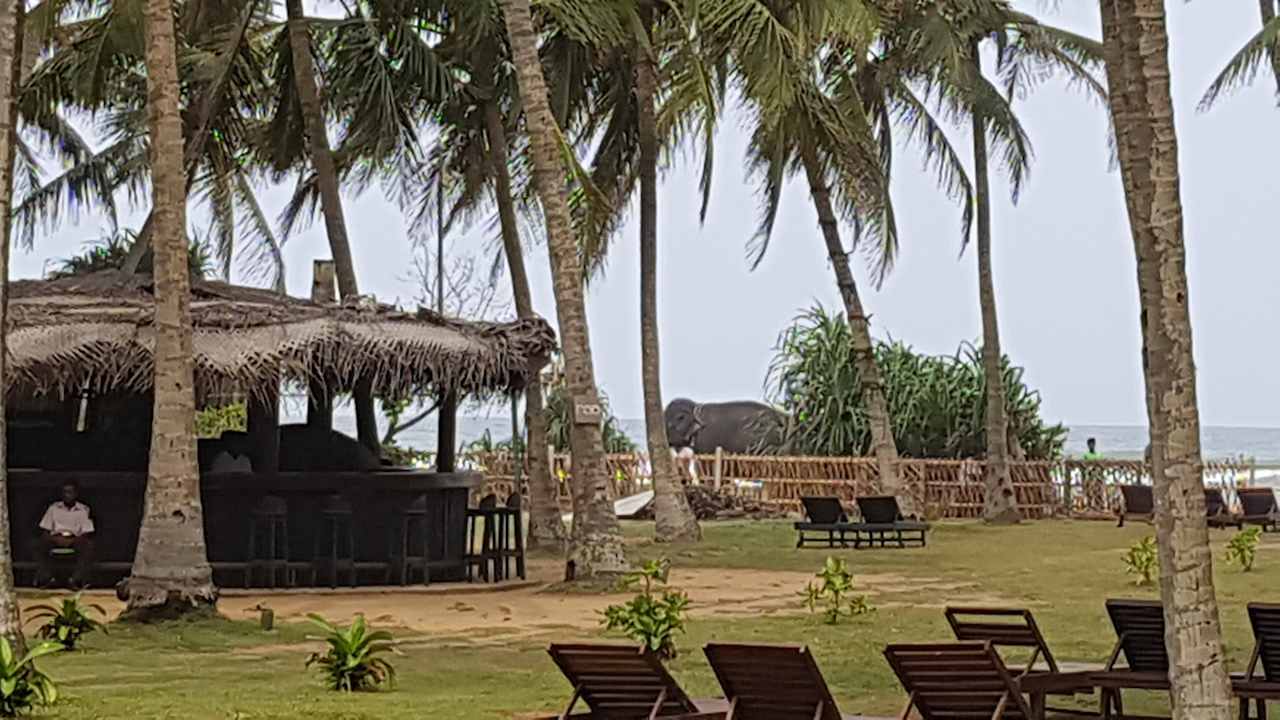 Außenansicht Hotel Taprobana Wadduwa