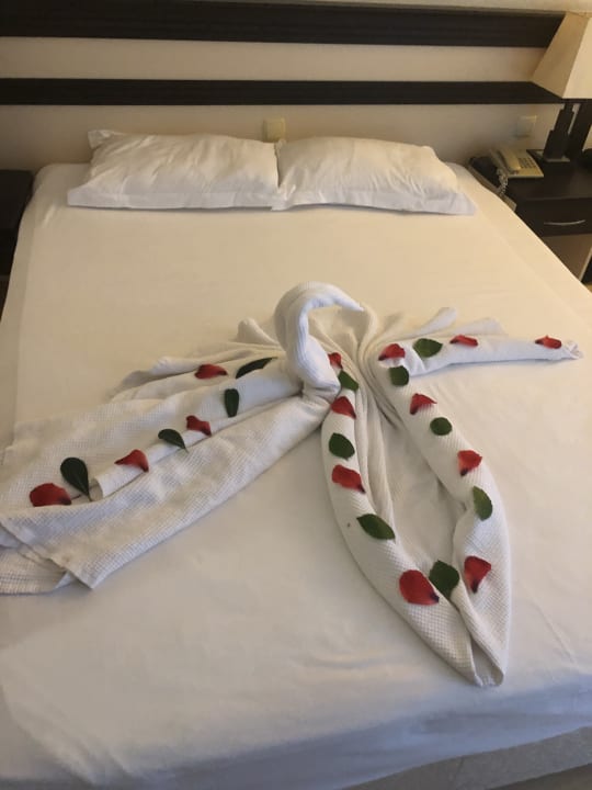 Zimmer Hotel Orfeus Park