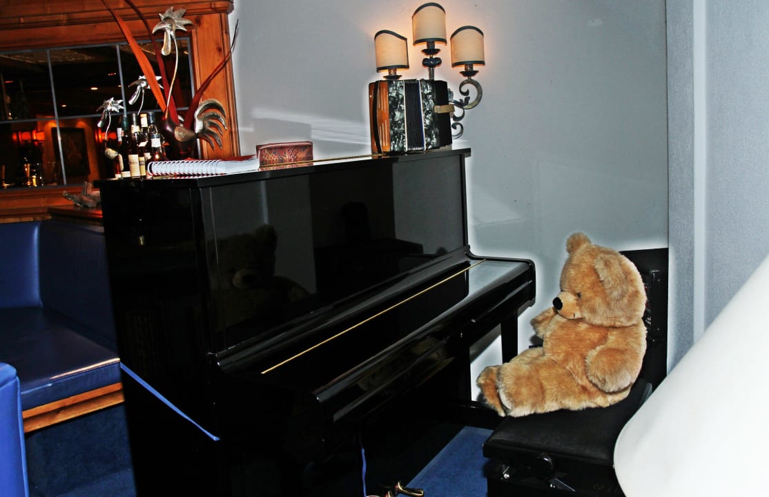 Eisame Bär  Hotel Butterfly, BW Signature Collection Hotel