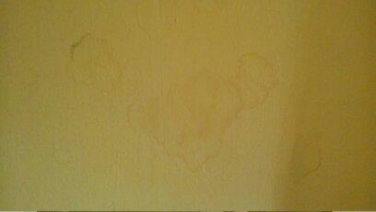 Wand Sonnenmatte-Titisee B+B Hotel Guesthouse