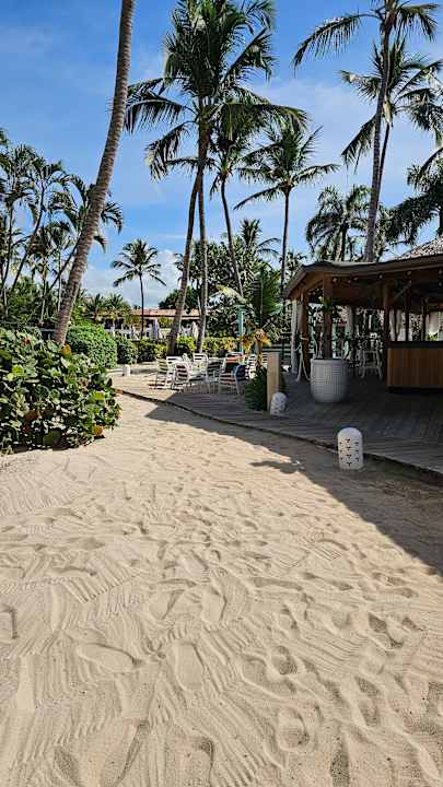 Gastro Catalonia Royal La Romana - Adults only