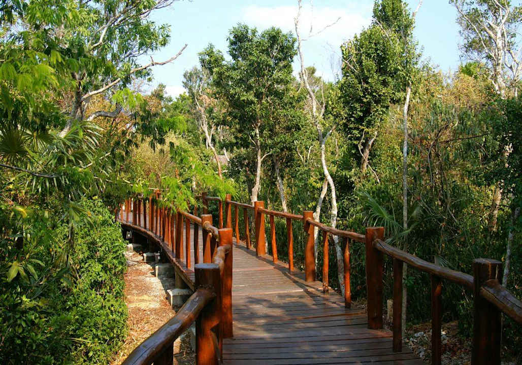 Gartenanlage Grand Palladium Colonial Resort & Spa