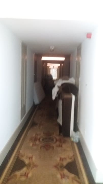 Zimmer Well Palace Side