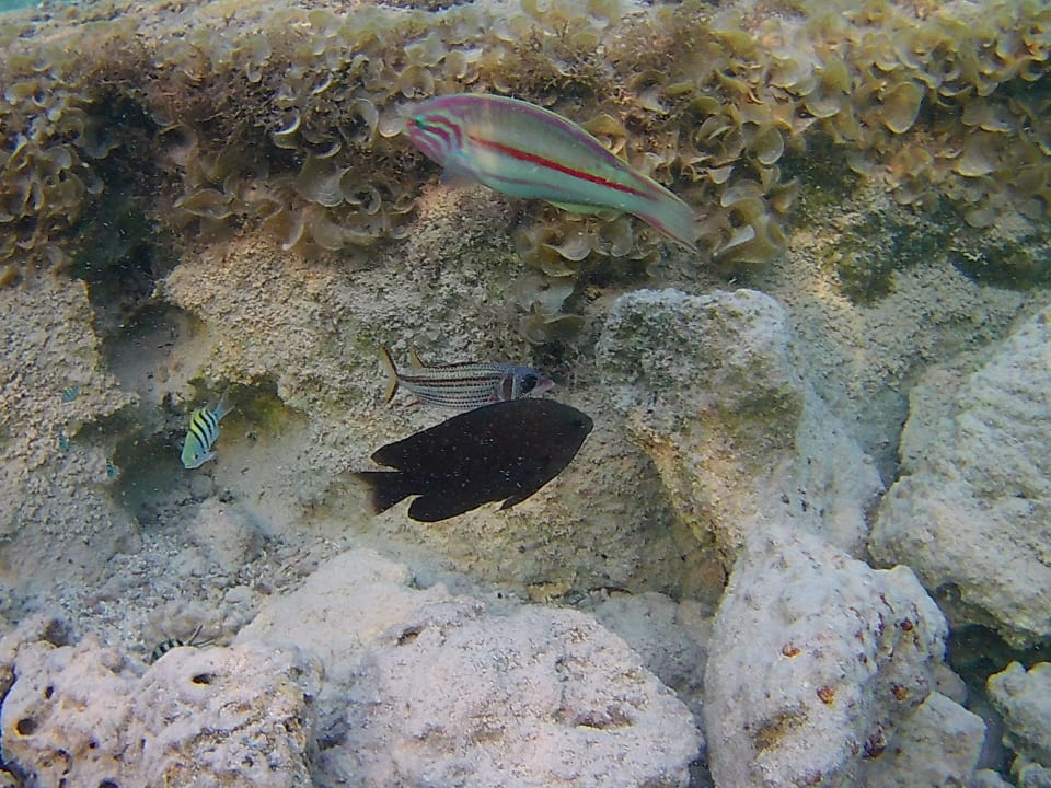 Strand Three Corners Sea Beach Resort