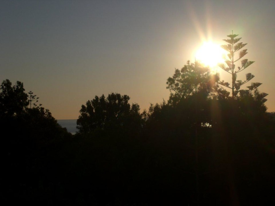 Aussicht Balkon Apollonia Beach Resort & Spa