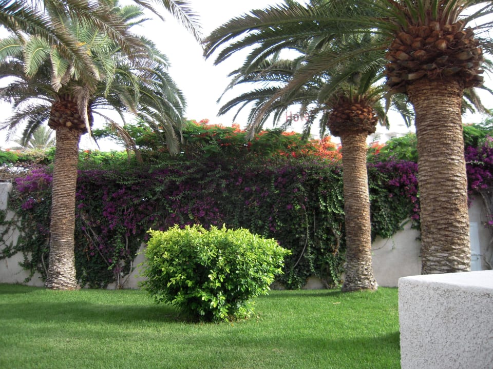 Vom Zimmer 036 in den Garten. Alexandre Hotel Gala