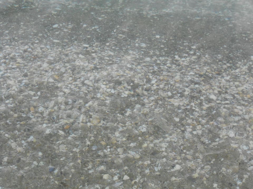Strand Sineva Park
