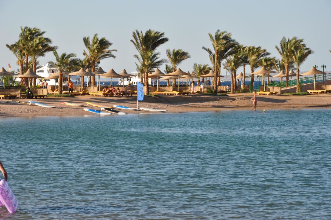 Die Surfschule im Hintergrund Desert Rose