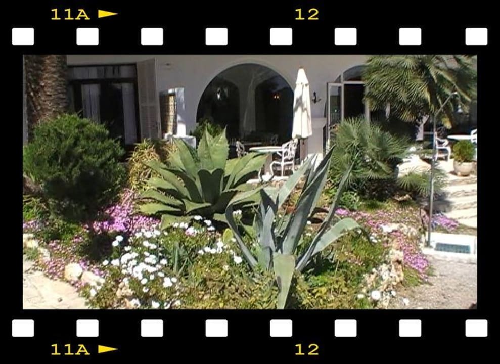 Hotelgarten Grupotel Rocador