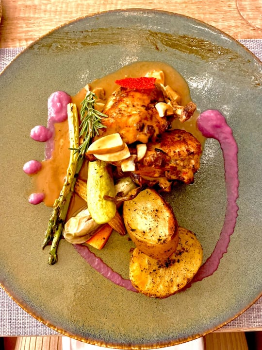 Gastro JAZ Elite Casa del Mar Beach