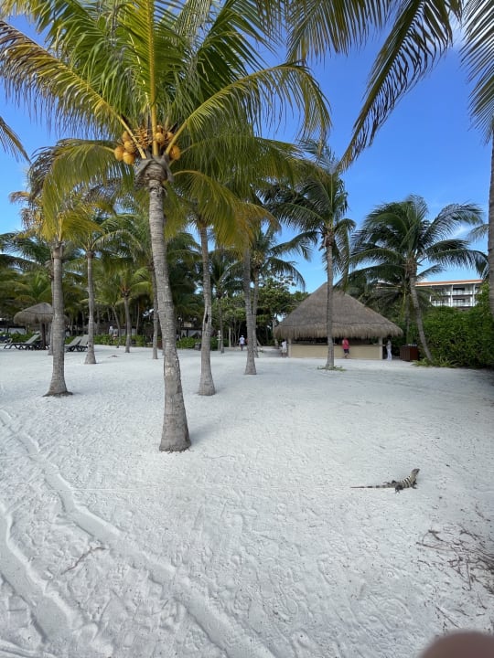 Strand Grand Palladium Kantenah Resort & Spa