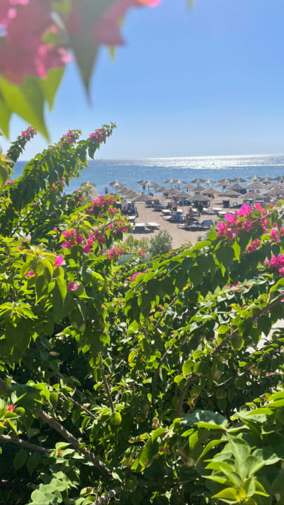 Ausblick Hotel Calypso Beach