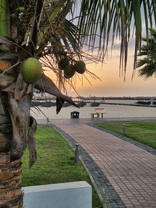 Strand Meliá Laguna Beach