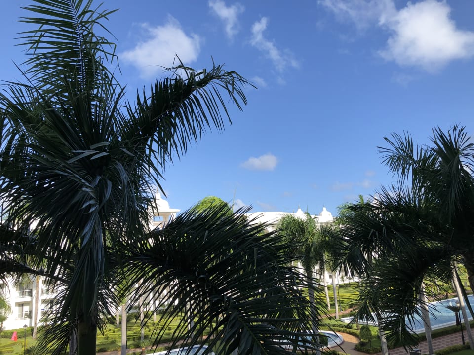 Ausblick Hotel Riu Palace Punta Cana