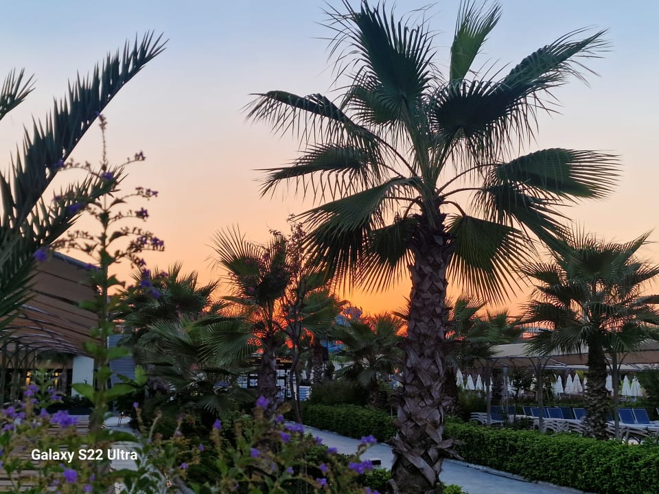 Ausblick Dream Water World