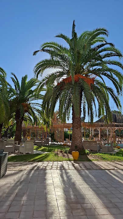 Außenansicht Shalimar Hammamet