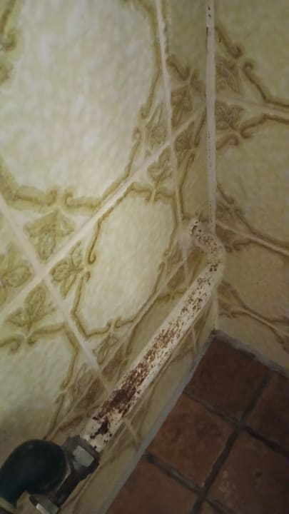 Zimmer Moselstern Hotel Zum guten Onkel