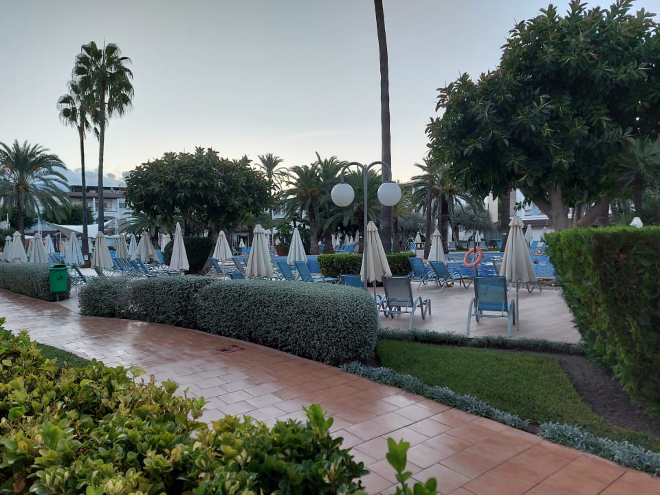 Pool Alcudia Garden Aparthotel