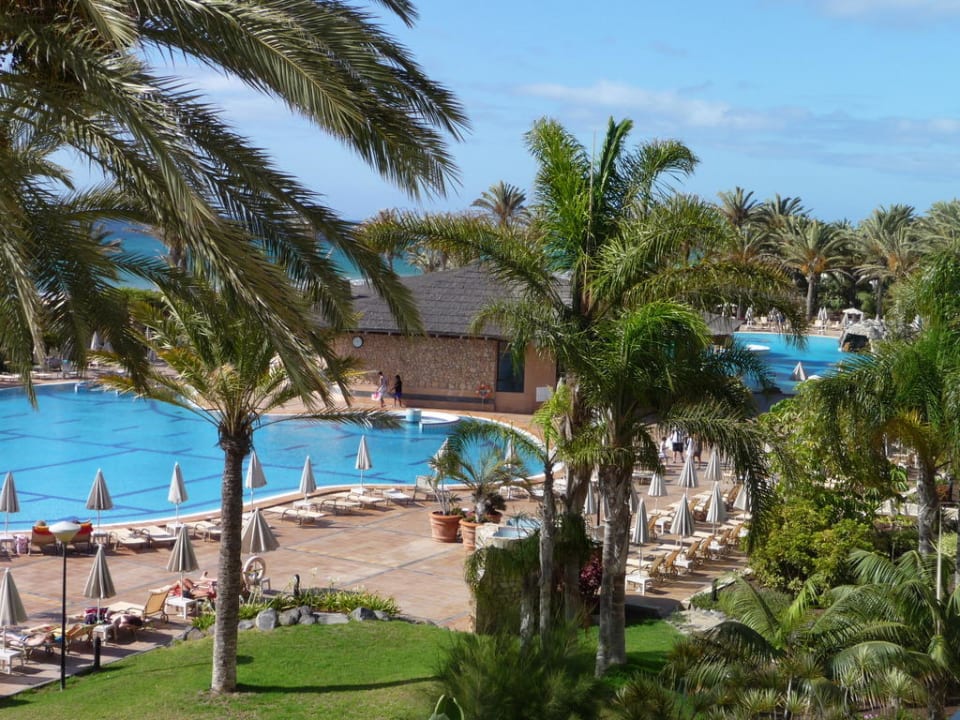 Pool SBH Hotel Costa Calma Palace