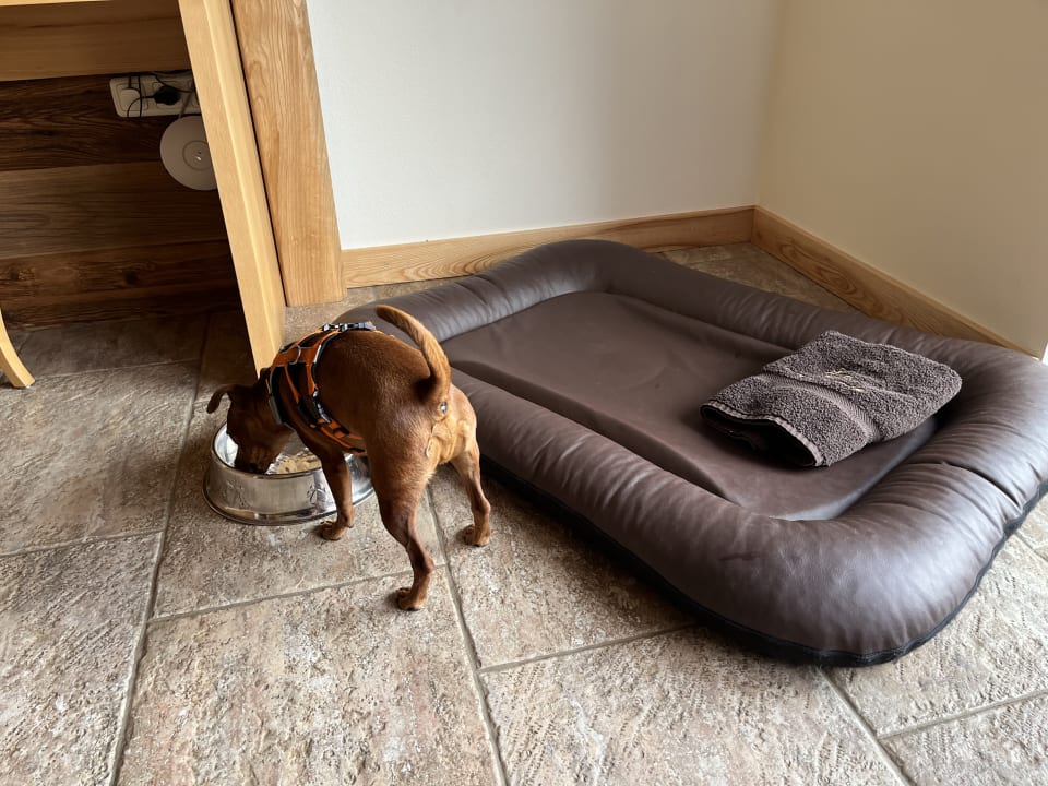 Sonstiges Hotel Gut Feuerschwendt