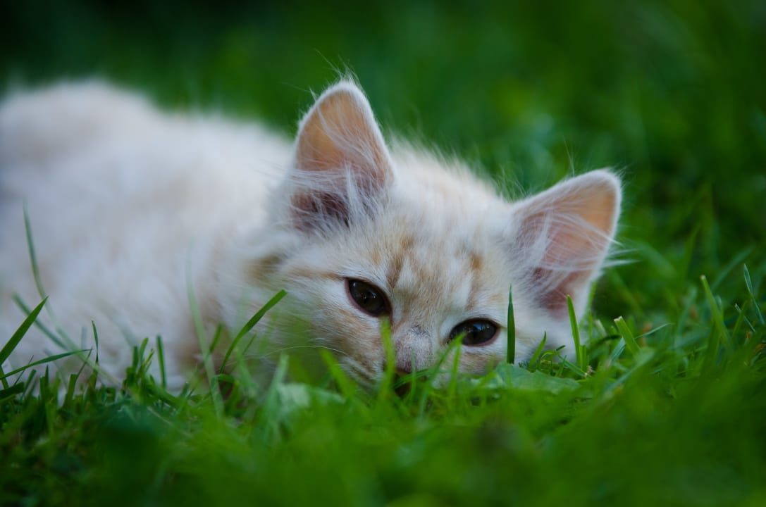 Sonstiges Ferienhof - Bauernhof Hefele