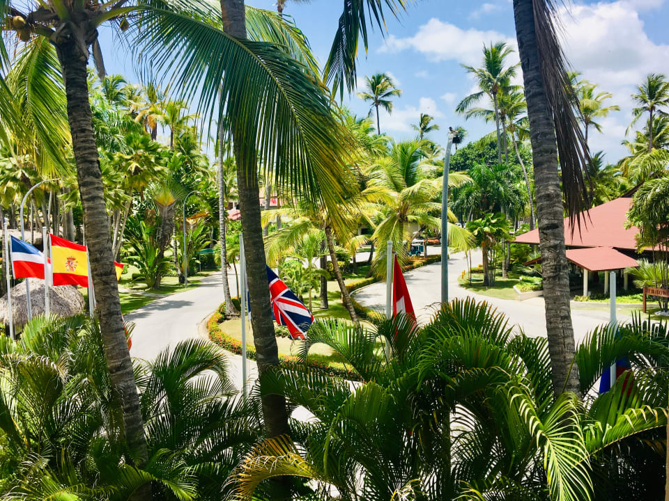 Gartenanlage Hotel Grand Palladium Palace Resort, Spa & Casino