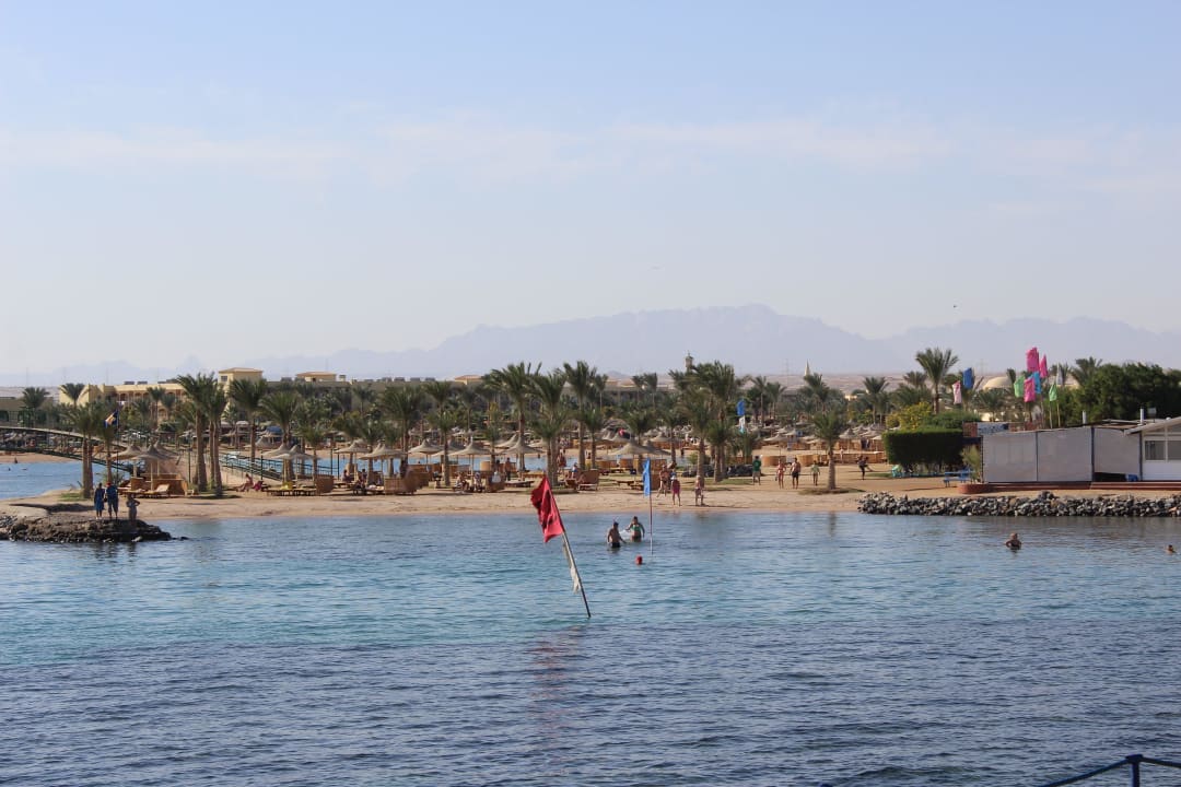 Лагуна Desert Rose