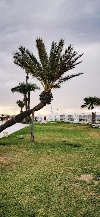 Gartenanlage Iberostar Selection Kuriat Palace