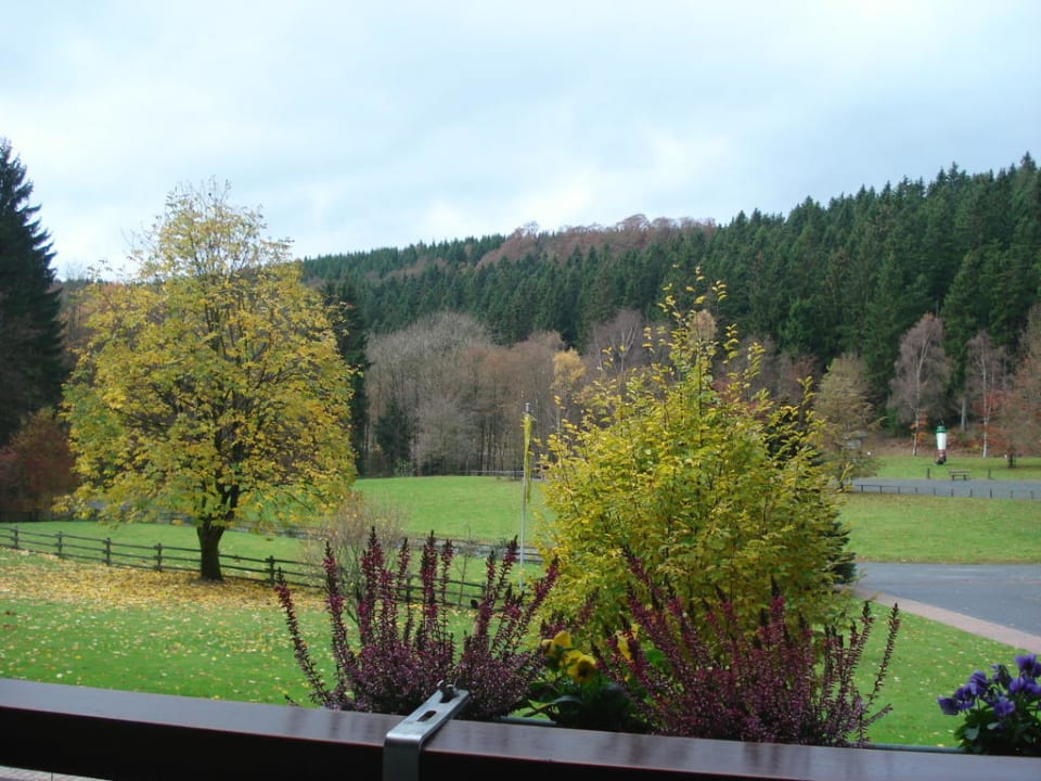 Uitzicht vanuit kamer Hotel Kleins Wiese