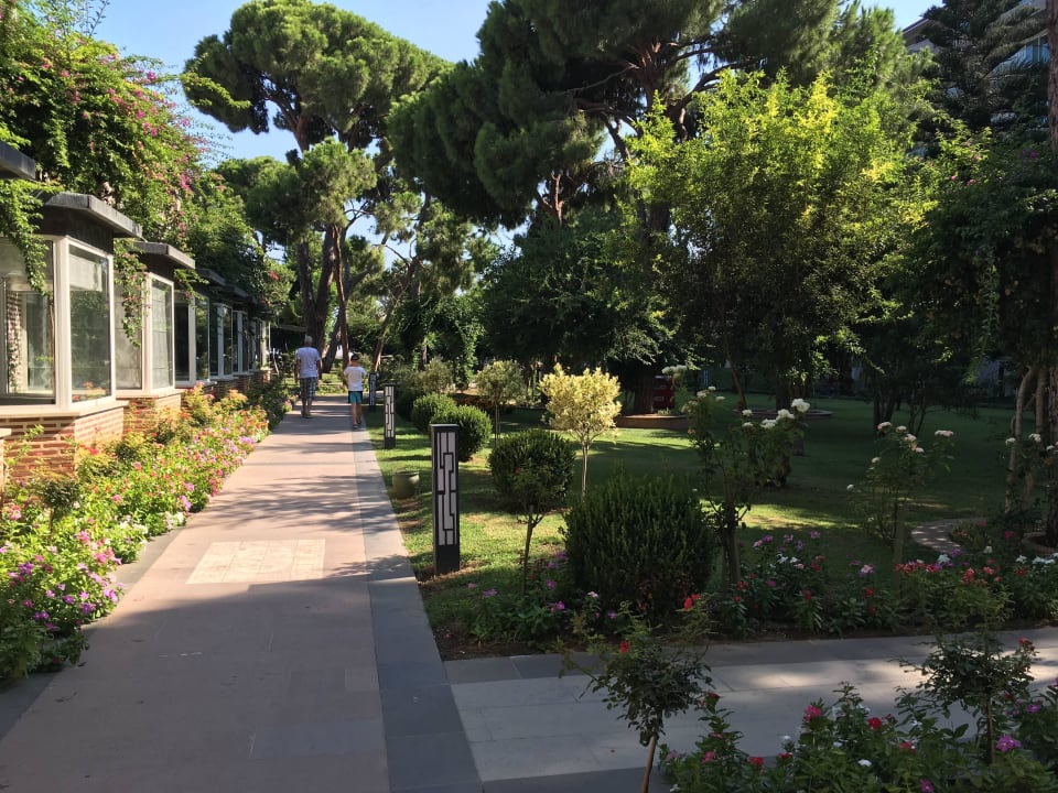 Weg zum Strand Papillon Ayscha