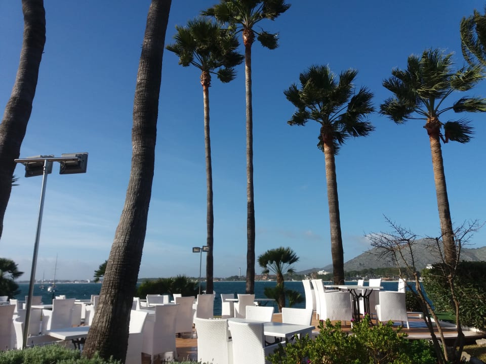 Ausblick von unserem Frühstücksplatz Alcudiamar Marina Residence