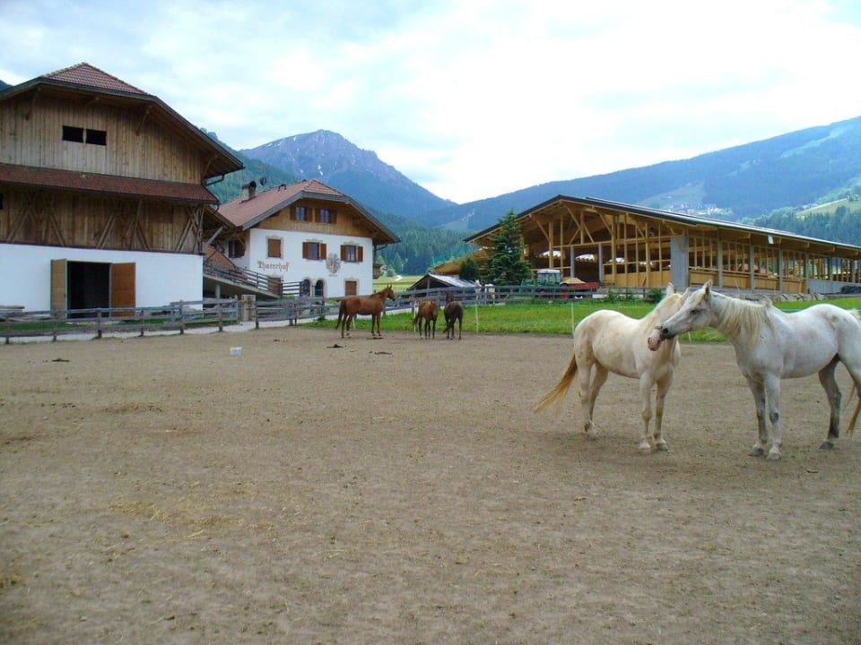 Reiterhof Hotel Tharerwirt