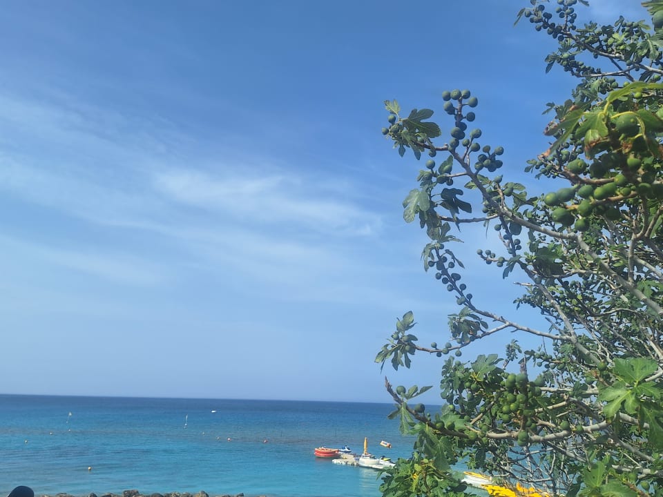 Ausblick Hotel Sunrise Beach