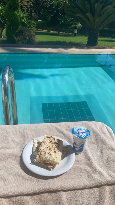 Pool Side Star Elegance