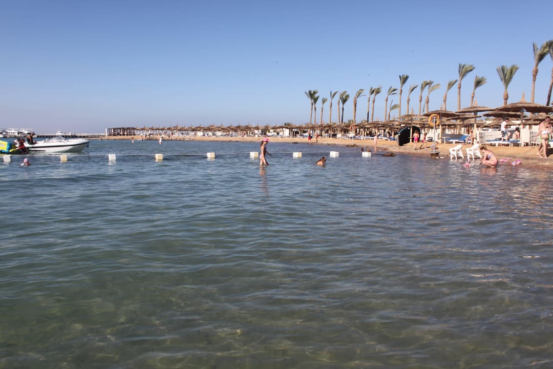Plaża Pickalbatros Jungle Aqua Park Resort - Neverland Hurghada