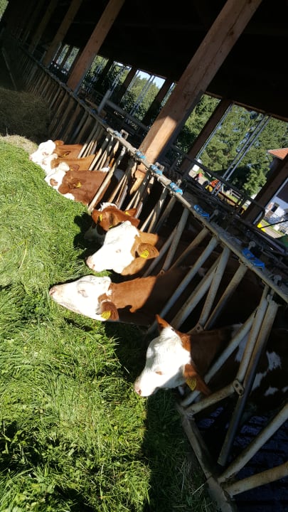 Sonstiges Bernwieserhof