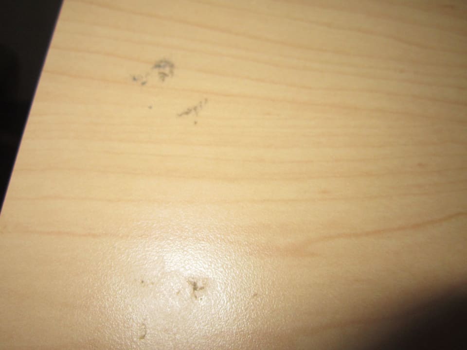 Zimmer Hotel Lake Tarpon Resort