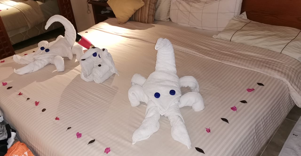 Zimmer Grand Waterworld Makadi & Family Star Makadi