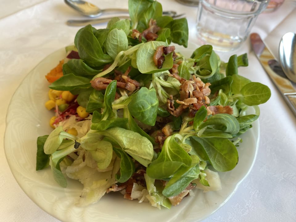 Gastro Seehotel Steiner