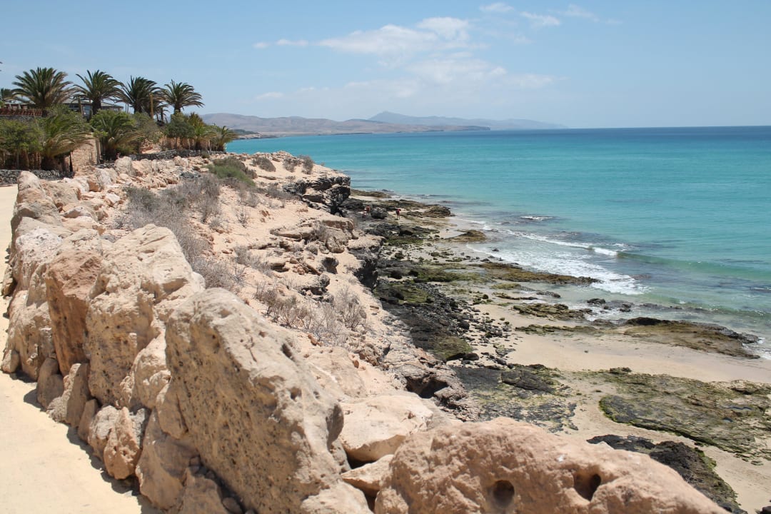 Ogrod R2 Pajara Beach