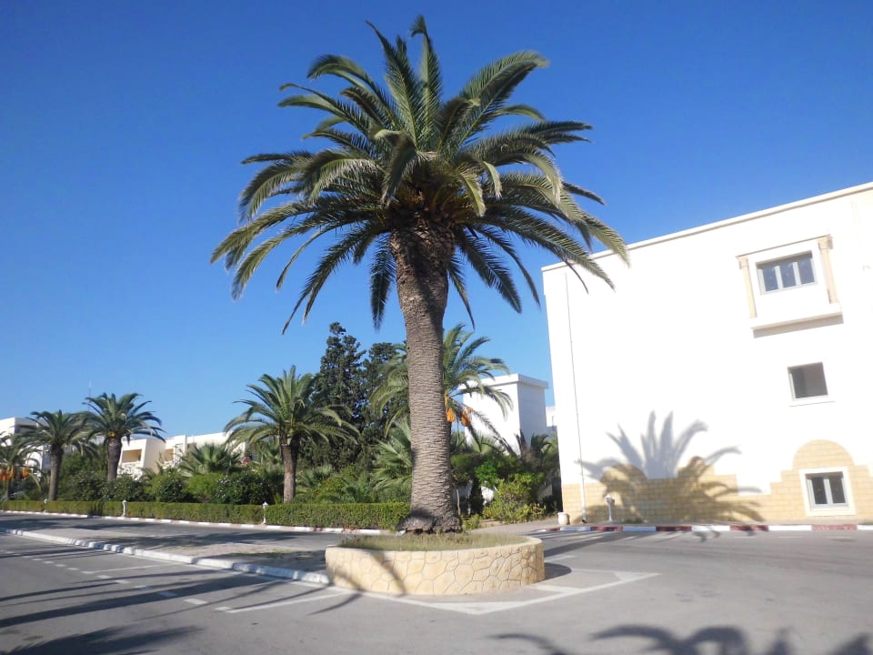 Weg zur Hauptstraße Omar Khayam Resort & Aquapark