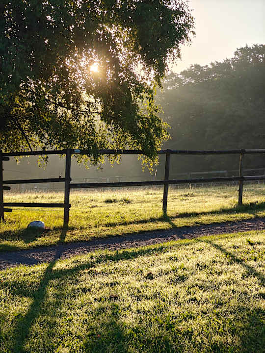 Gartenanlage Hotel Heinz